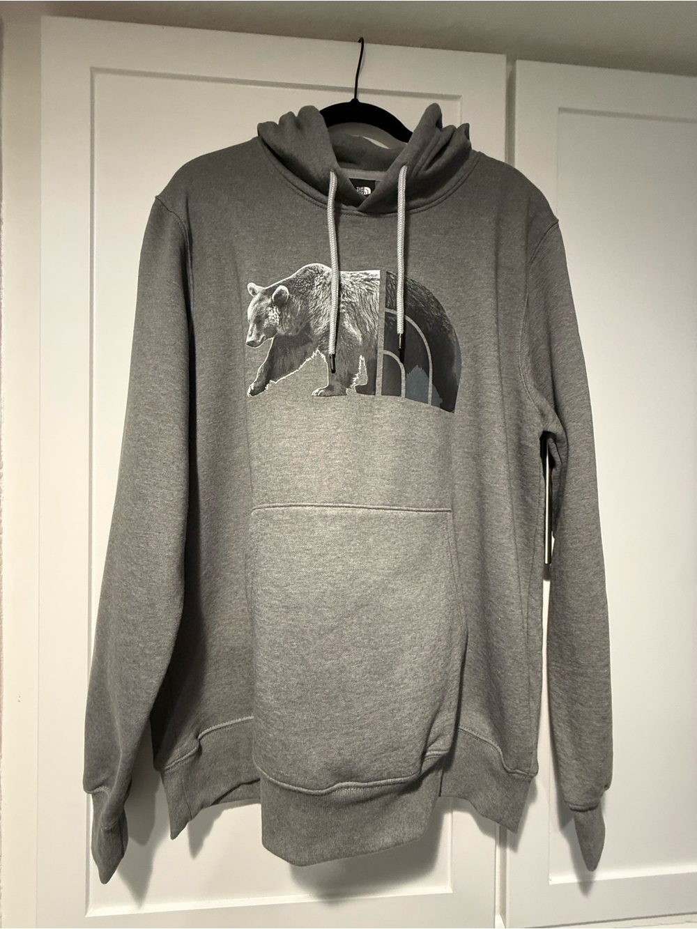 The North Face Gray Bear Pullover Hoodie